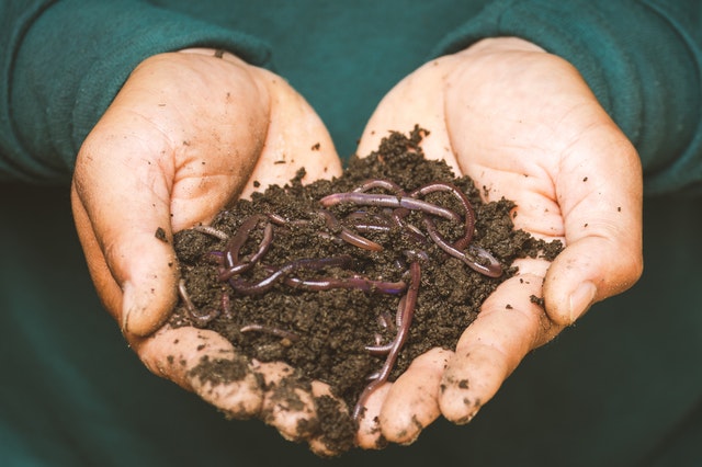 Composting