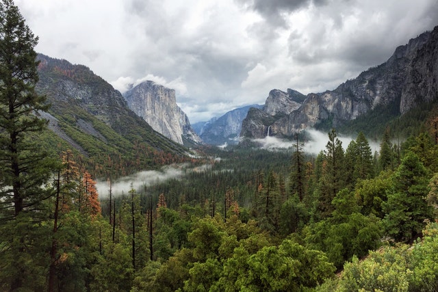 Rock Climbing in Yosemite