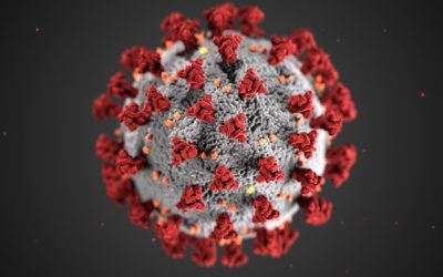 What is the Corona Virus?