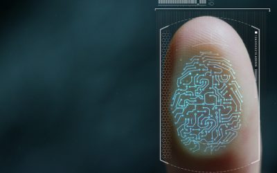 Fingerprints and Identity
