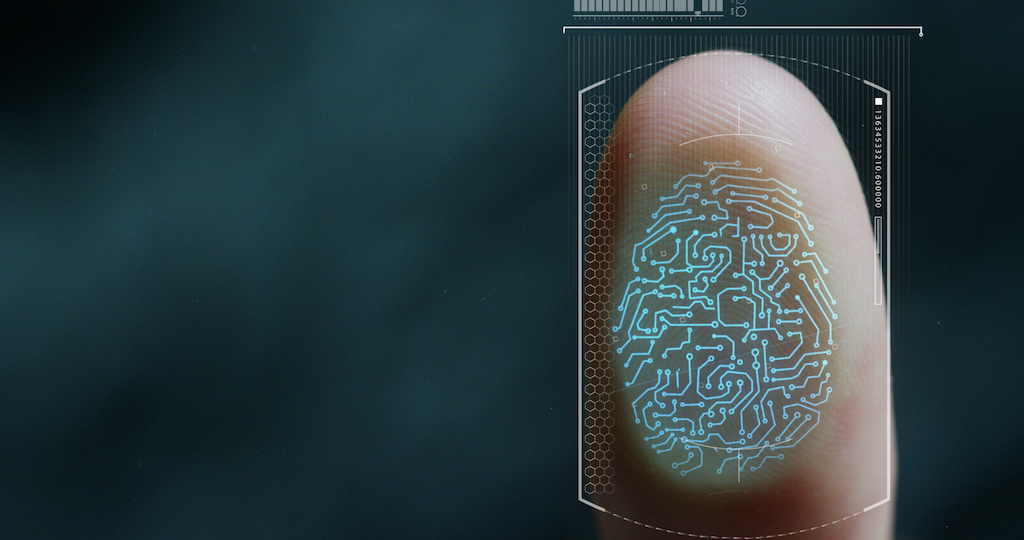 Fingerprints and Identity