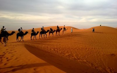 Medieval Africa Caravan Routes and the Sahara Desert