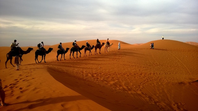 Medieval Africa Caravan Routes and the Sahara Desert