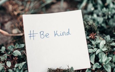 Kindness 101: Character