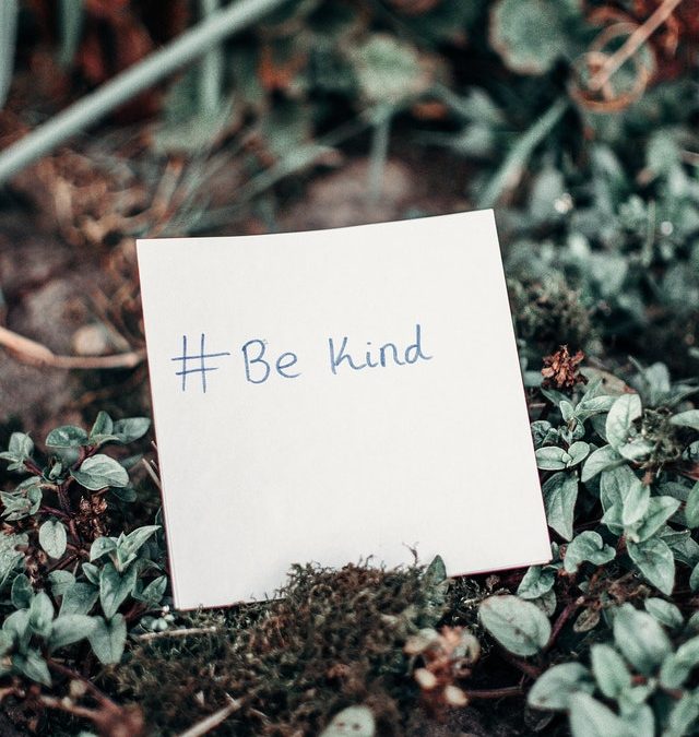 Kindness 101: Character