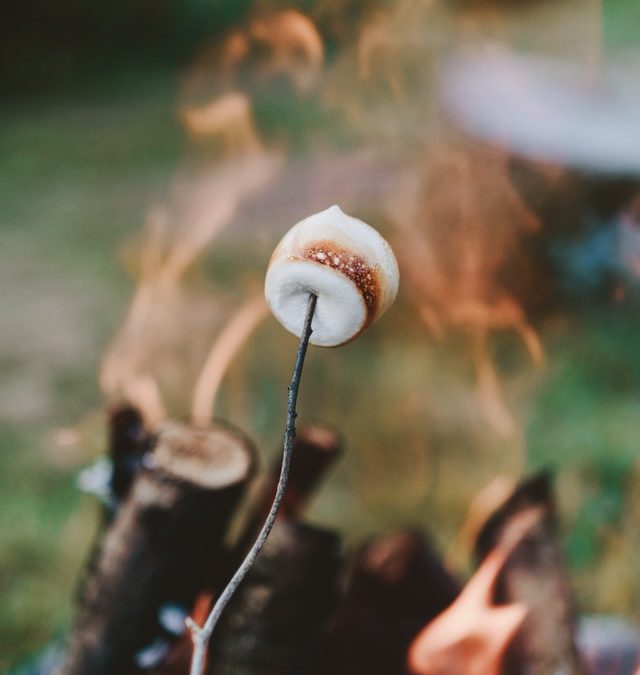S’more Summer Learning